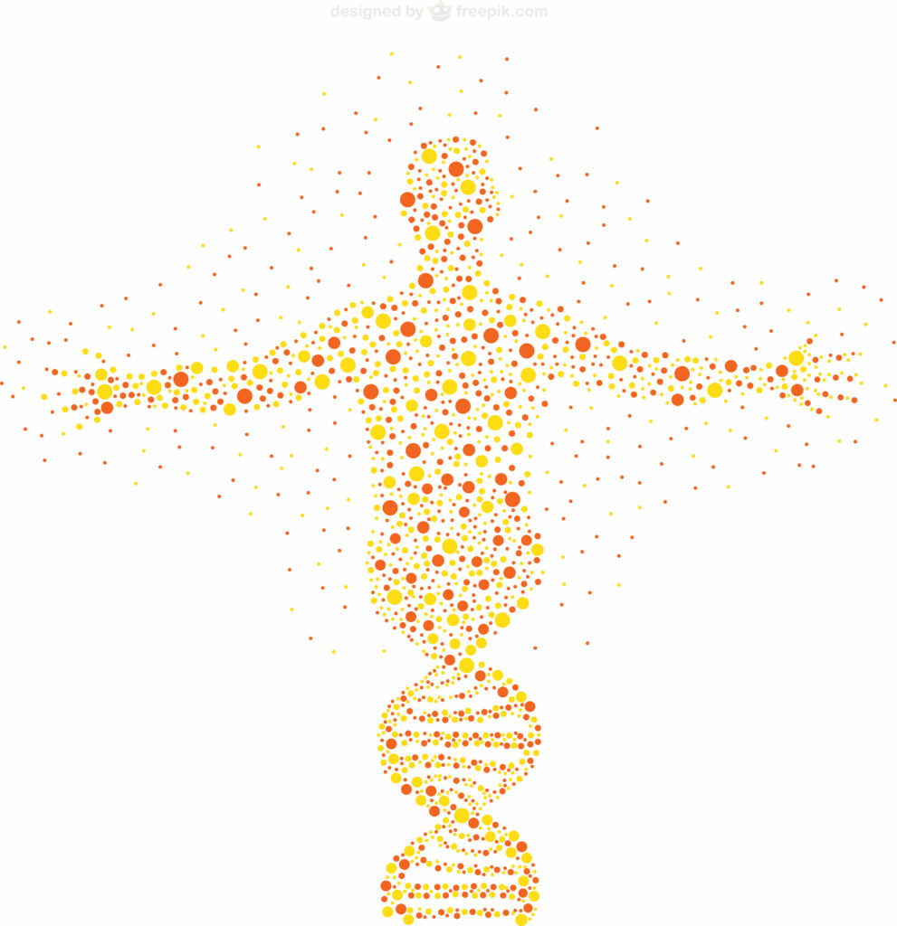 5-991x1024 Genótipo vs. fenótipo: a diferença entre o que está no seu DNA e o que se manifesta no seu corpo